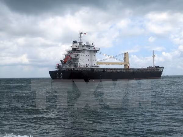 Vietnam rescata un marinero filipino gravemente enfermo en el mar ảnh 1