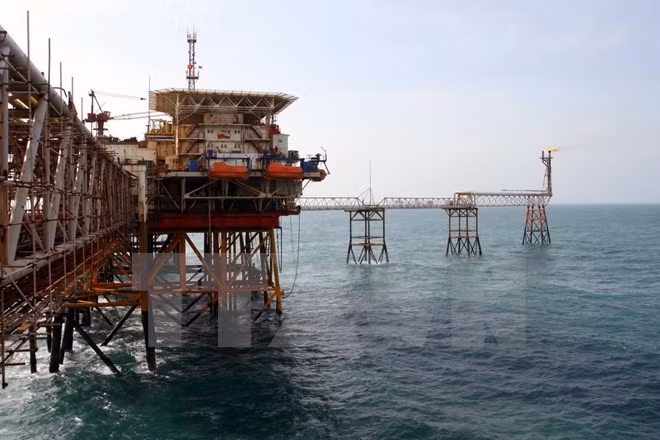 Vietsovpetro celebra 35 años de operación en industria de petróleo y gas ảnh 1