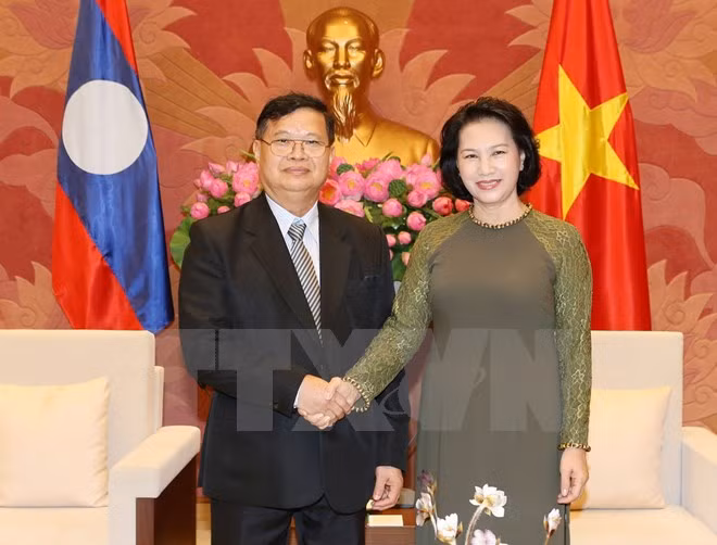 Vietnam y Laos incrementan cooperación legislativa ảnh 1