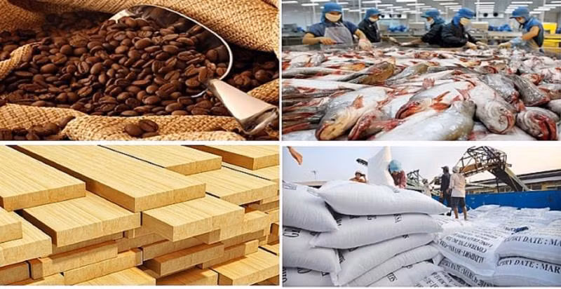 Exportaciones de productos agrosilvícolas y acuícolas de Vietnam alcanzan superávit récord ảnh 1