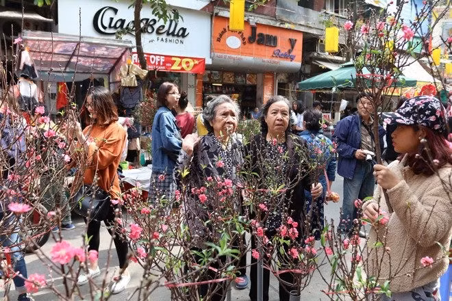 Abrirán 83 mercados de flores en Hanoi durante Año Nuevo Lunar ảnh 1