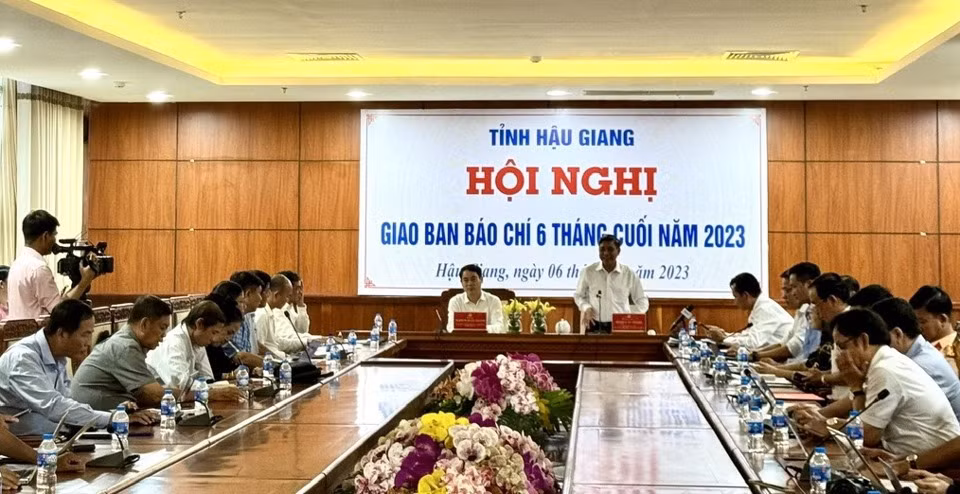 Efectuarán Festival internacional del sector de arroz Vietnam - Hau Giang ảnh 1