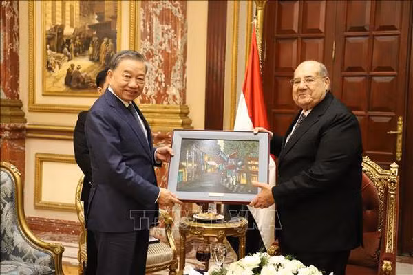 Vietnam y Egipto refuerzan nexos partidistas ảnh 1