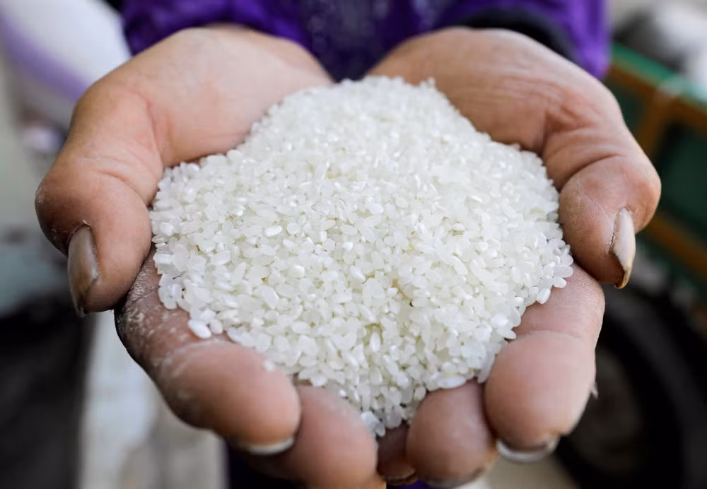 Indonesia proporcionará ayudas con arroz a 22 millones de hogares en 2024 ảnh 1 Indonesia proporcionará ayudas con arroz a 22 millones de hogares en 2024 ảnh 1