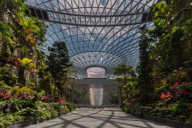 Inauguran complejo de entretenimiento en el aeropuerto Changi de Singapur ảnh 1
