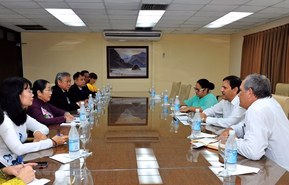 Explora delegación vietnamita en Cuba potencialidades para ampliar cooperación bilateral ảnh 1