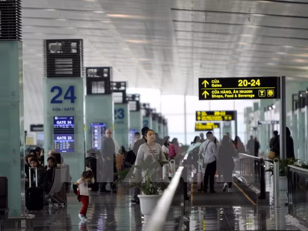 Crece cantidad de estudiantes vietnamitas en Nueva Zelanda ảnh 1