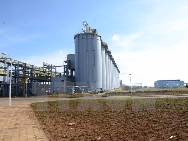 Fábrica vietnamita exporta primeros lotes del hidróxido de aluminio al exterior ảnh 1