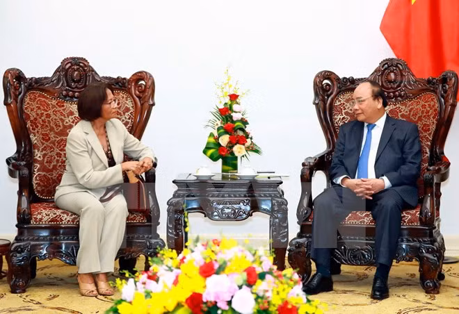 Vietnam promete condiciones óptimas para empresas de Timor Leste ảnh 1