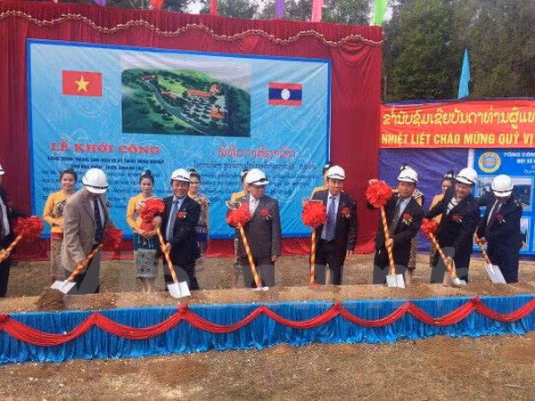 Vietnam ayuda a Laos en el desarrollo de agro-silvicultura ảnh 1