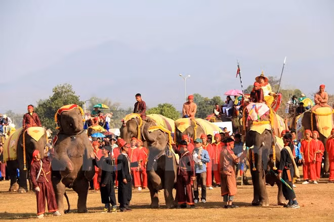 Festival en provincia laosiana promueve la protección de elefantes ảnh 1