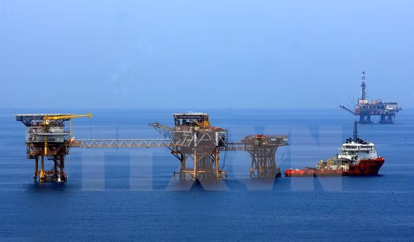 Vietnam aumenta importación de productos petroleros de países de ASEAN ảnh 1