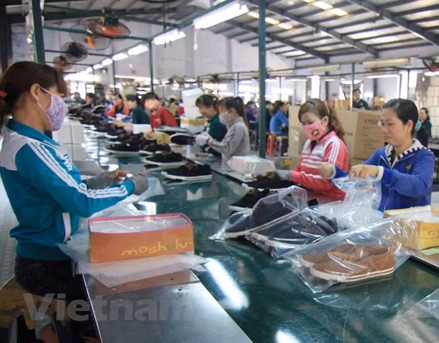 Perspectivas de los lazos en comercio e inversión entre Vietnam y el Reino Unido tras Brexit ảnh 1