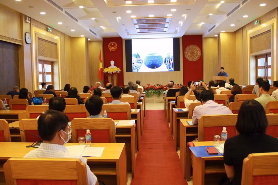 Buscan promover desarrollo sostenible de la acuicultura marina en provincia vietnamita ảnh 2