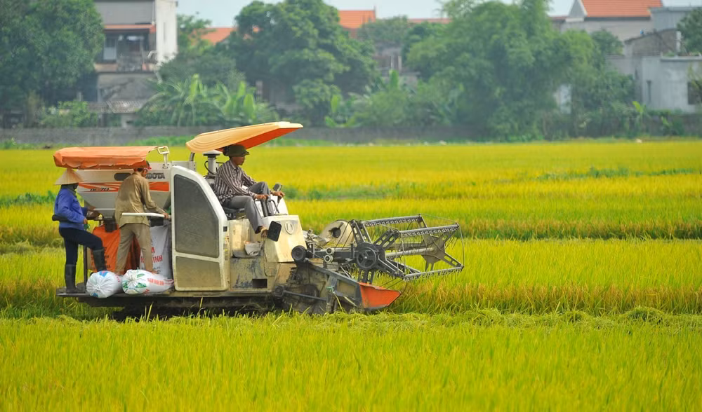 Vietnam alcanza ODM sobre reducción de pobreza con 10 años de antelación ảnh 1