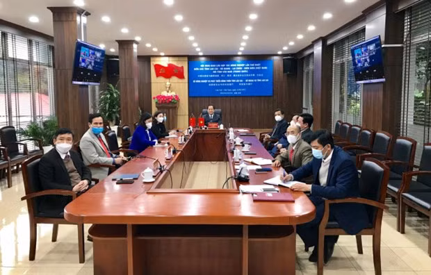 Provincias fronterizas vietnamitas fomentan cooperación agrícola con localidad china ảnh 1 Provincias fronterizas vietnamitas fomentan cooperación agrícola con localidad china ảnh 1
