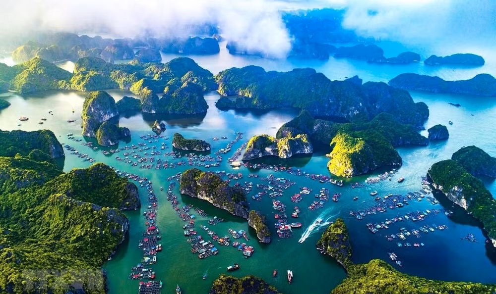 Vietnam promueve cooperación internacional por desarrollo de economía marítima ảnh 1