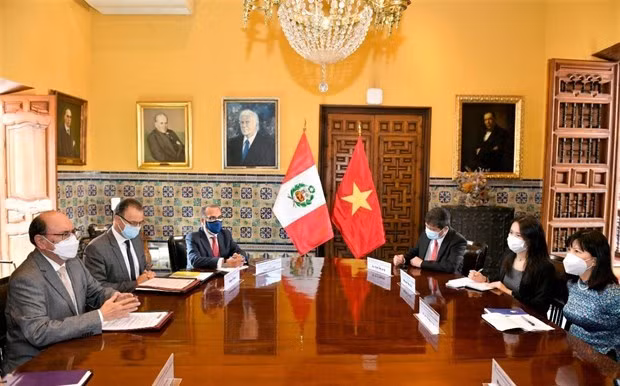 Perú considera a Vietnam un socio importante en Sudeste Asiático ảnh 1