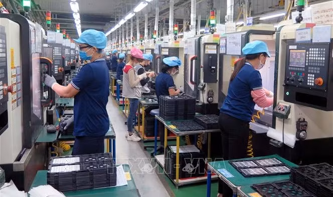 Trabajan por perfeccionar políticas y leyes sobre negocios responsables en Vietnam ảnh 1