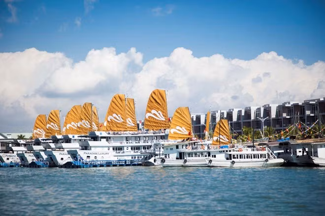 Inauguran otro puerto internacional en Quang Ninh ảnh 1