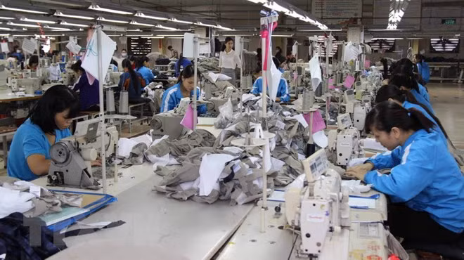 CPTPP allana camino para exportaciones vietnamitas de confecciones- textiles ảnh 1