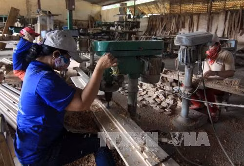 Exportaciones silvícolas de Vietnam prevén superar nueve mil millones de dólares este año ảnh 1