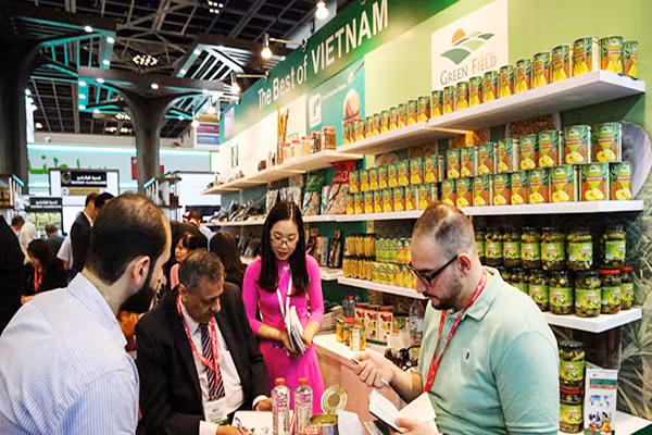 Oriente Medio y África, mercados potenciales para exportadores vietnamitas ảnh 1
