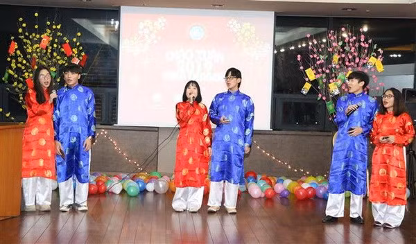 Vietnamitas en República Checa y Corea del Sur saludan al año 2019 ảnh 1