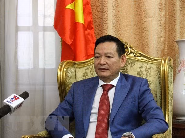 Vietnam adopta medidas para ayudar a sus víctimas del atentado en Egipto ảnh 1