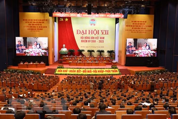 Asociación de Agricultores de Vietnam por elevar eficiencia de sus actividades ảnh 1