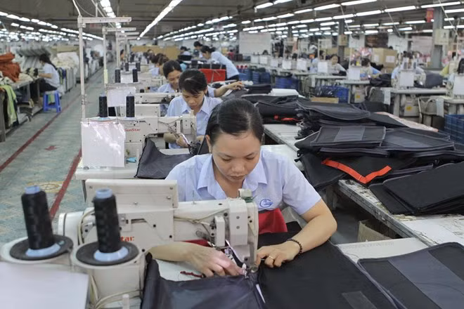 Estados Unidos y Unión Europea, mercados con mayor superávit comercial de Vietnam ảnh 1