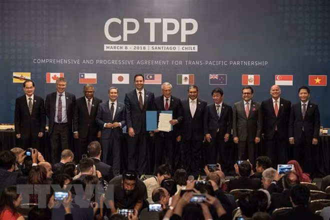 CPTPP entra en vigor de forma oficial ảnh 1