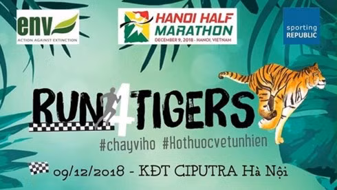 Centenares de personas participan en el maratón “Corre por Tigres” en Hanoi ảnh 1