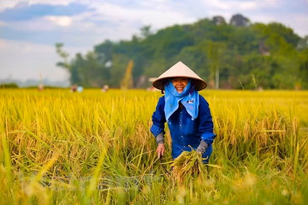 Celebran VII Congreso de la Asociación de Agricultores de Vietnam ảnh 1