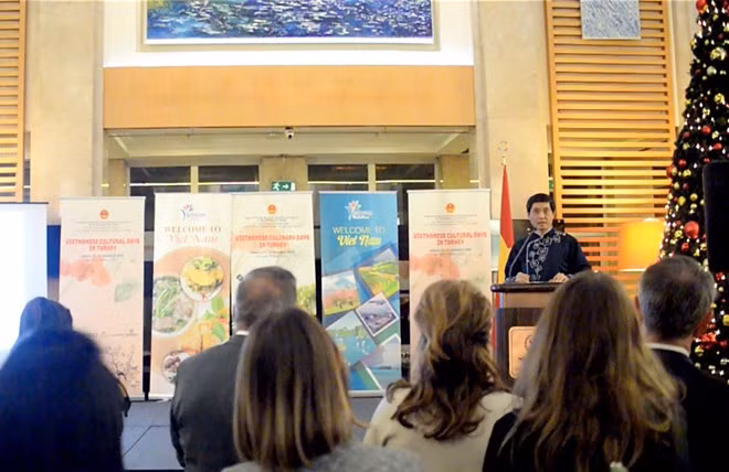 Impresionantes días de cultura vietnamita en Turquía ảnh 1