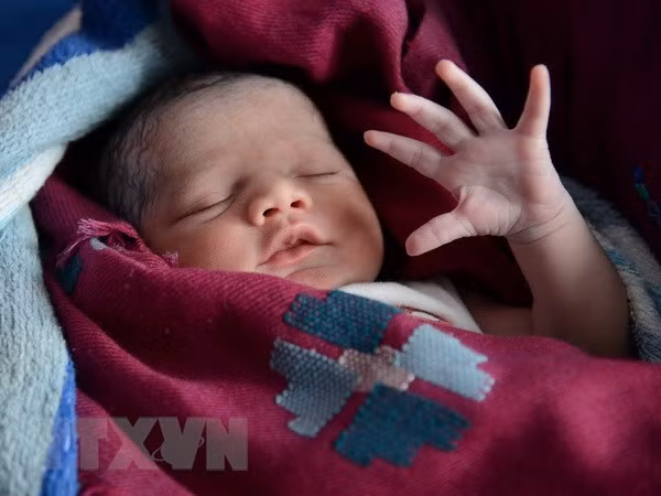 Vietnam se esfuerza por luchar y prevenir el tráfico de bebés ảnh 1