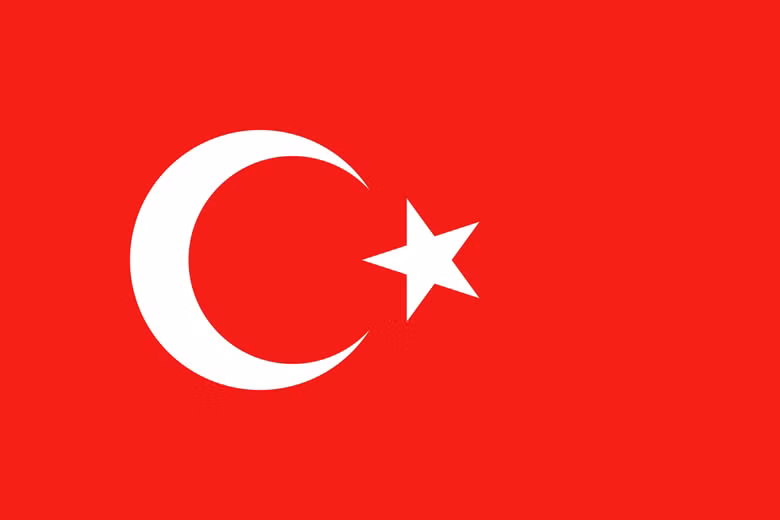 Vietnam felicita a Turquía por el 99 aniversario del Día de la República ảnh 1