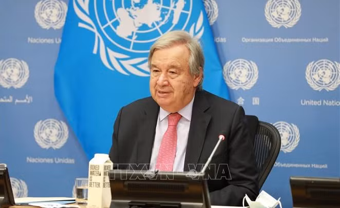  Vietnam y ONU fomentan relaciones de asociación ảnh 1