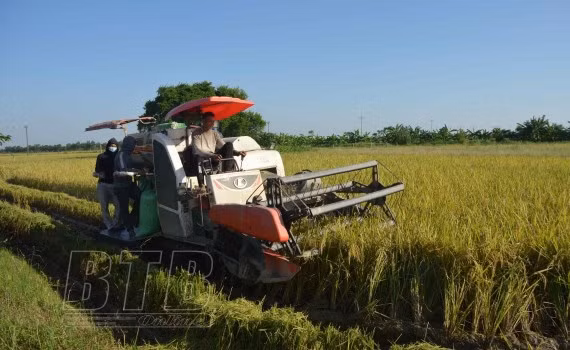 Promueven localidades vietnamita e italiana cooperación económica ảnh 1