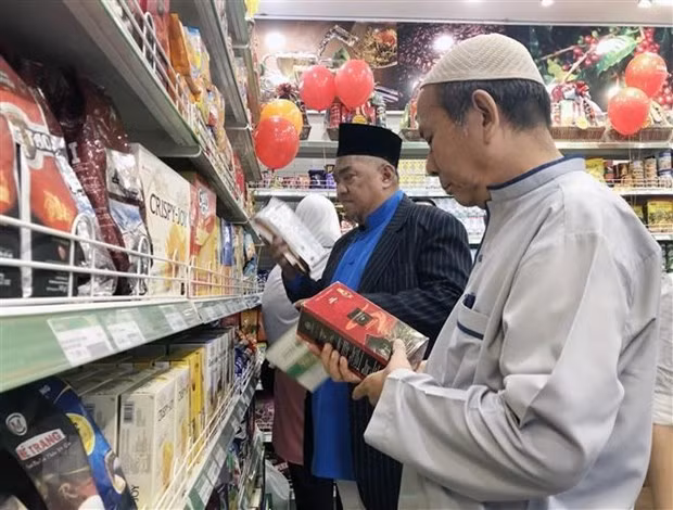Buscan apoyar a empresas vietnamitas en ingreso a mercado de Indonesia ảnh 1