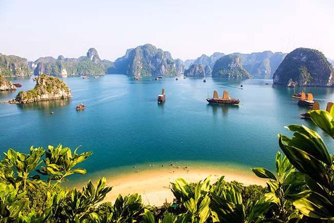 Vietnam figura entre destinos más buscados por turistas australianos ảnh 1 Vietnam figura entre destinos más buscados por turistas australianos ảnh 1