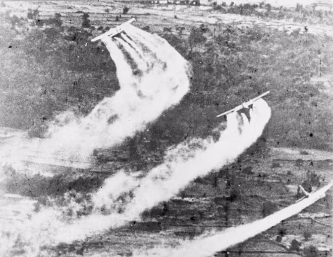 Participa Vietnam en diálogo sobre las consecuencias de guerra en EE.UU. ảnh 1
