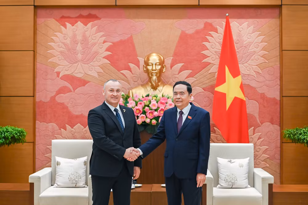Agilizan cooperación entre parlamentos de Vietnam y Rumania ảnh 1