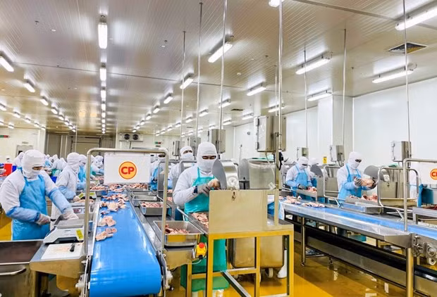 Empresa vietnamita exportará su primer lote de carne de pollo procesado a Japón ảnh 1