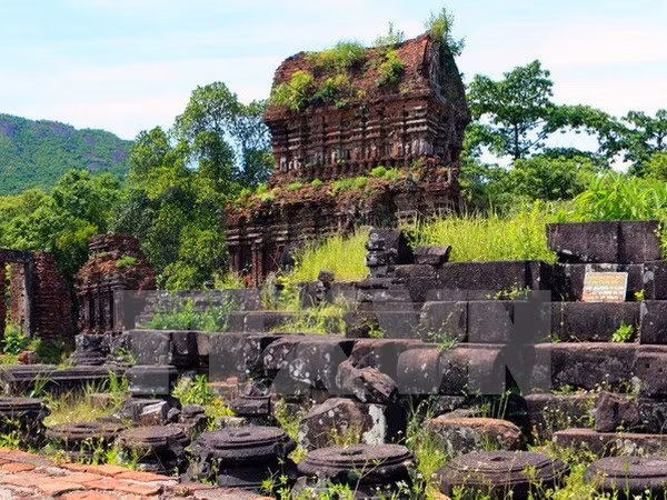 Santuario de My Son, vestigio arquitectónico del Reino Champa ảnh 1