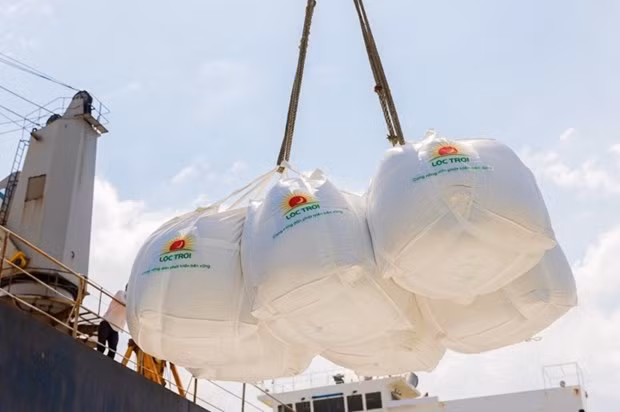 Empresa vietnamita recibe pedidos para exportar 400 mil toneladas de arroz a la UE ảnh 1