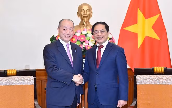 Japón reitera la voluntad de impulsar cooperación multifacética con Vietnam ảnh 1