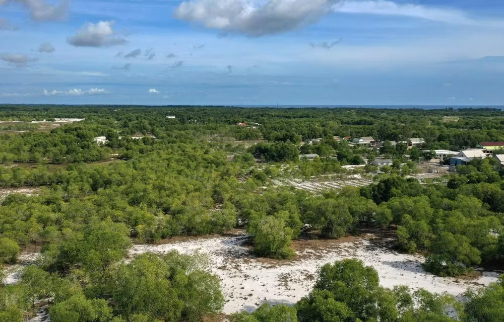 Vietnam se encuentra en camino correcto de desarrollo “verde” ảnh 1