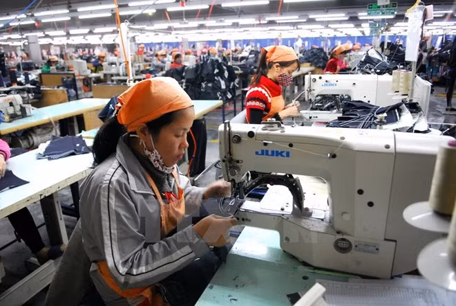 Gobierno de Vietnam apoya a empresas pequeñas y medianas ảnh 1