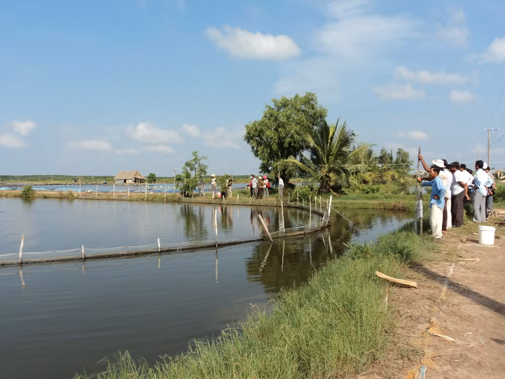 Refuerza Kien Giang cumplir meta anual de exportaciones ảnh 1